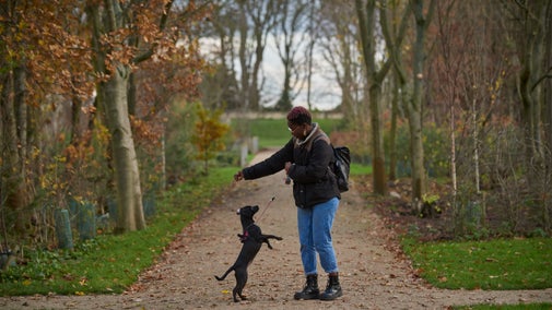 A visitor playing with their dog in the South East Gardens in winter at Seaton Delaval Hall Northumberland